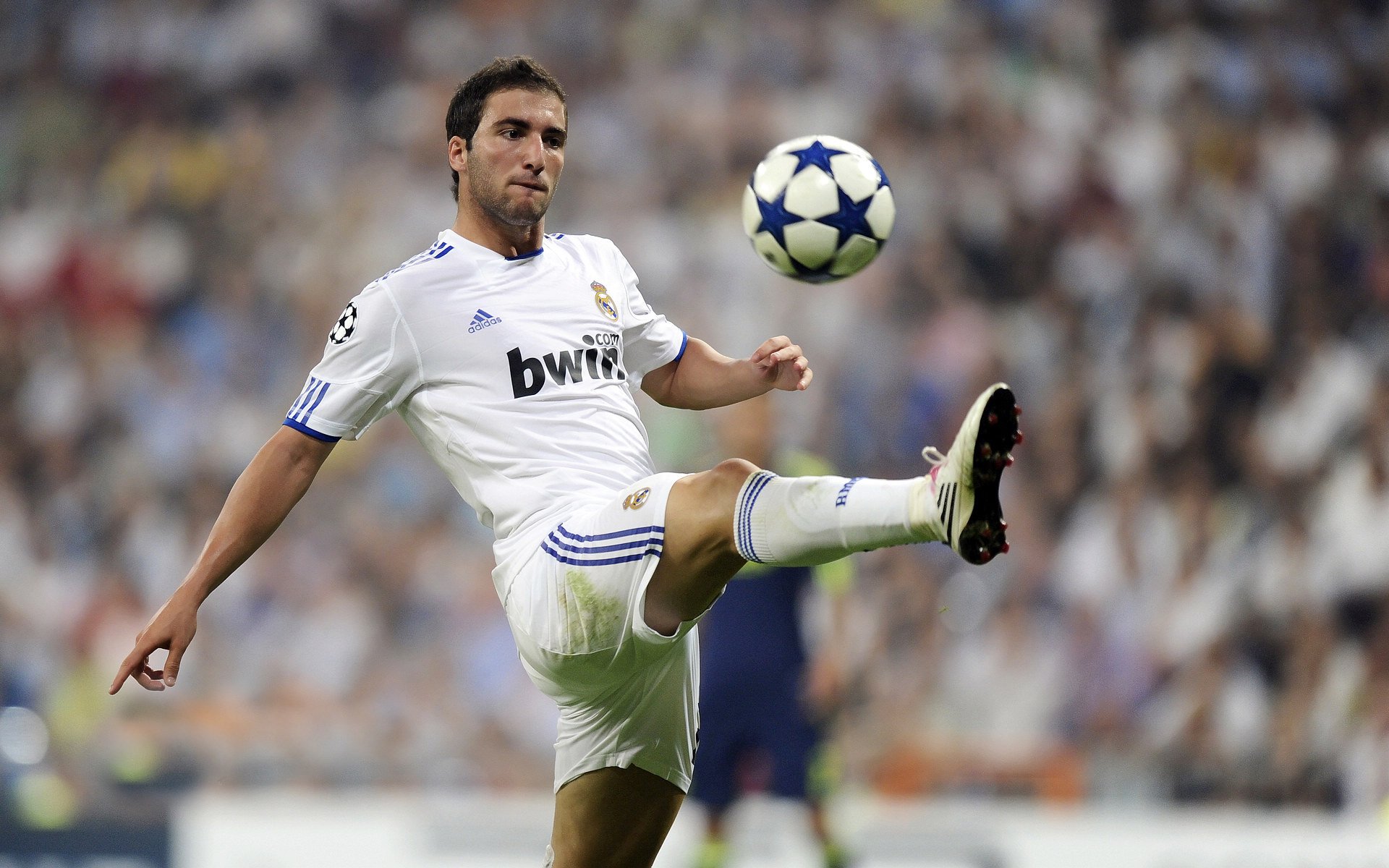 凯尔特人小前锋接受专家治疗推进康复计划，小凯尔特人值得入手